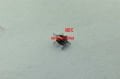 180 C Derece limit termostat 2.uçlu ( KK01.99.455 ) (16A-250V) Kombi baca limit termostat 180 derece .