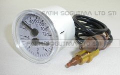 Viessmann whoa serisi termanometre iki pulp geçme tip cewal ( KK01.96.852 )
